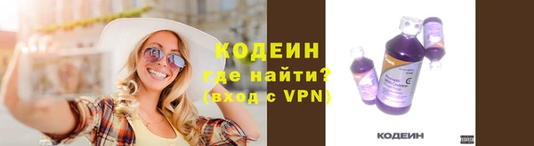 индика Верея