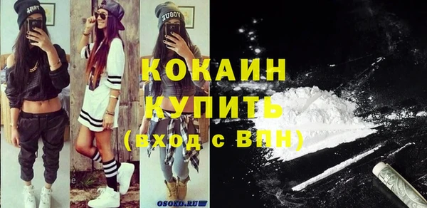 индика Верея