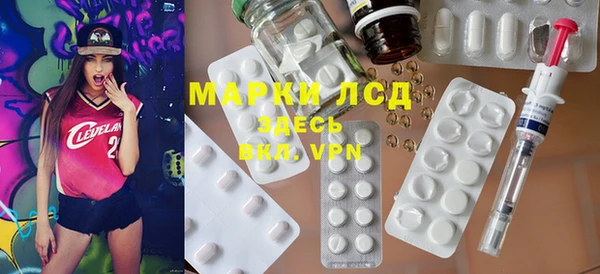 индика Верея