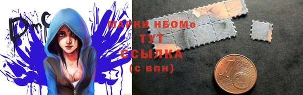 индика Верея