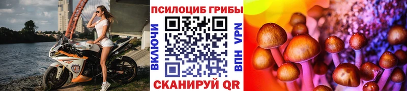 Галлюциногенные грибы Cubensis  где продают наркотики  Южно-Сухокумск 